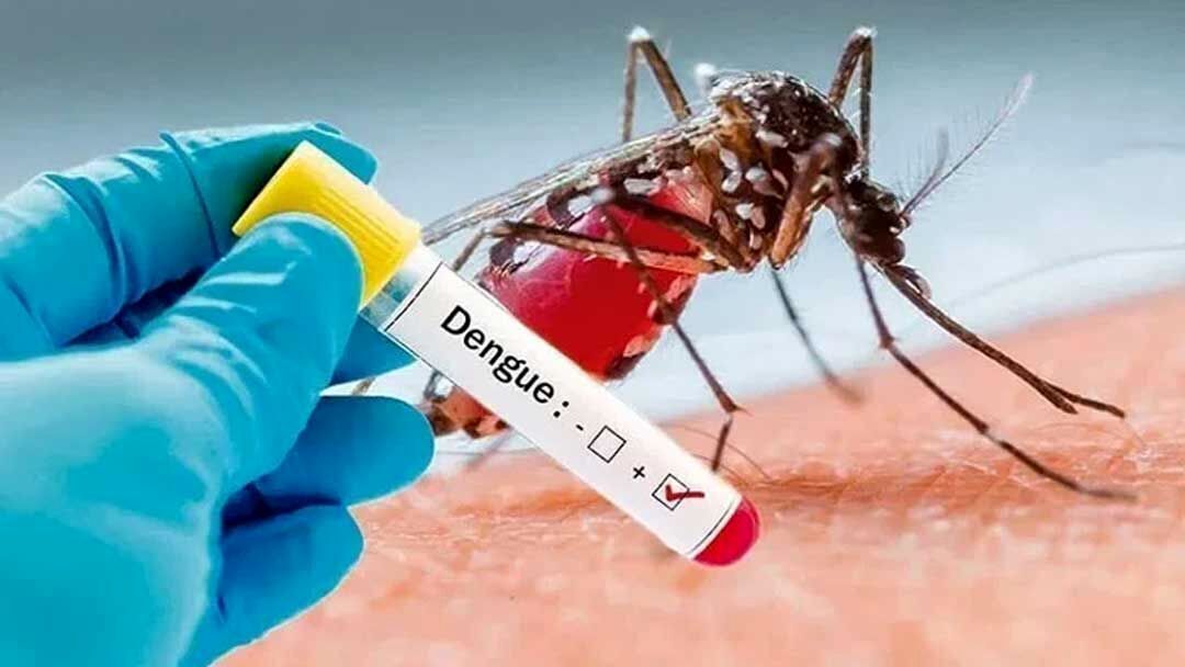 افزایش مبتلایان به تب دِنگی در بندرعباس /۹۵ مورد تأیید شده