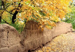 پاییزِ بیباران؛ وقتی زمین تشنه مینالد