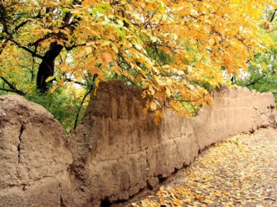 پاییزِ بی‌باران؛ وقتی زمین تشنه می‌نالد