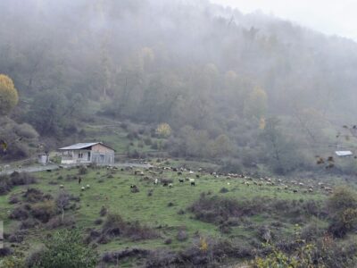 گرگان،سرزمین مه، باران و جنگل های بی پایان
