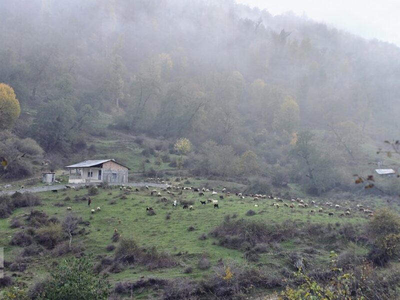 گرگان،سرزمین مه، باران و جنگل های بی پایان