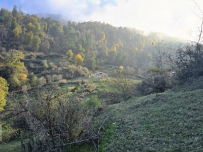 توقف پیشروی آتش در جنگلهای الیت /امید به اطفای کامل طی روزهای آینده