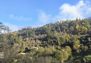 آتشسوزی جنگلهای الیت مهار شد