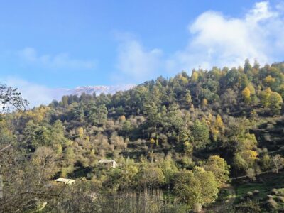 آتش‌سوزی جنگل‌های الیت مهار شد