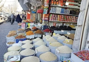 ۷۴ هزار تن برنج خارجی وارد شد؛ عرضه سراسری با قیمت ۵۰ تا ۶۶ هزار تومان