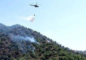 آیا آتش در ارتفاعات الیت مهار می‌شود؟ | اعزام شش بالگرد و ۳۵ تیم عملیاتی