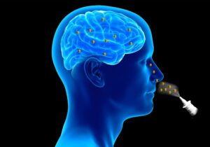 انقلابی در درمان تومورهای مغزی؛ قطره بینیای که گلیوبلاستوما را نابود میکند