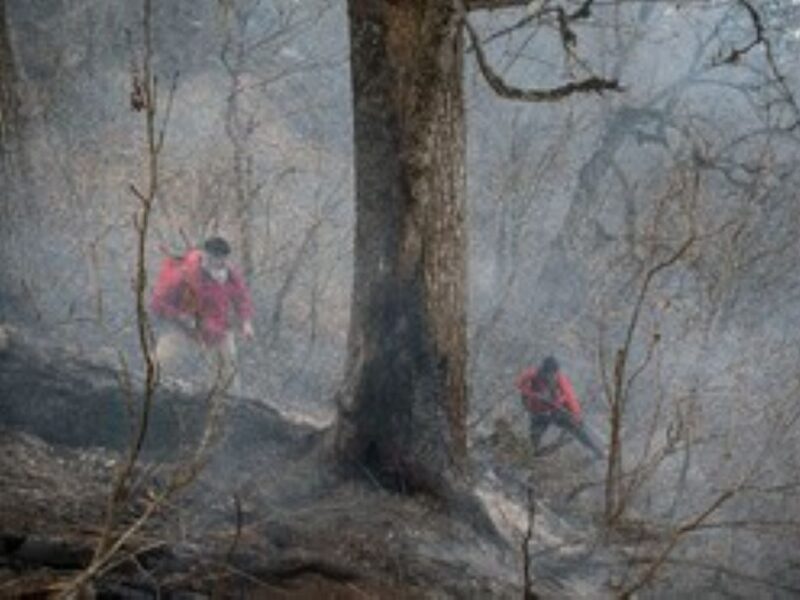 دو هفته نبرد با شعله‌های جنگل الیت و دلیر | آتش هنوز پراکنده می‌سوزد