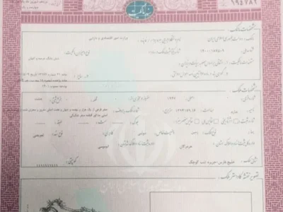 ثبت رسمی مالکیت سه جزیره خلیج فارس؛ جزئیات اسناد صادرشده اعلام شد