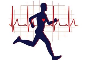 ورزشکاران با قلب کارآمدتر: روزانه ۱۱ هزار ضربان کمتر از دیگران