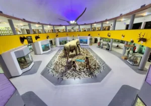 غنی‌تر شدن گنجینه زمین‌شناسی دانشگاه شیراز