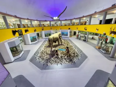 غنیتر شدن گنجینه زمینشناسی دانشگاه شیراز