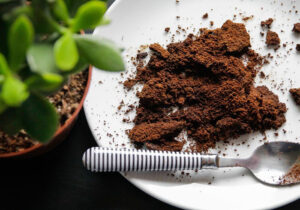 بتن با طعم قهوه! چگونه تفاله قهوه شهرها را سبز و ساختمانها را محکم میکند