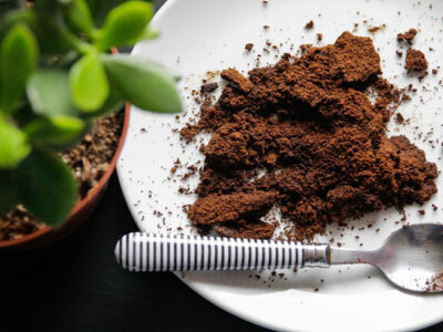 بتن با طعم قهوه! چگونه تفاله قهوه شهرها را سبز و ساختمانها را محکم میکند