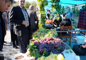 ثبت ملی جشنواره انگور کندوله؛ فرصتی تازه برای گردشگری روستایی کرمانشاه