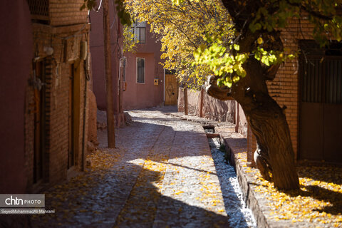 تاریخ و پاییز در دل ابیانه؛ روستایی که قدمت ملی دارد