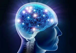 دانشمندان به لایه پنهان مغز رسیدند؛ شنیدن ضعیف‌ترین پیام‌های عصبی ممکن شد