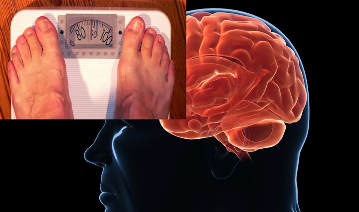 چرا مغز برای چاق ماندن برنامه‌ریزی شده است؟