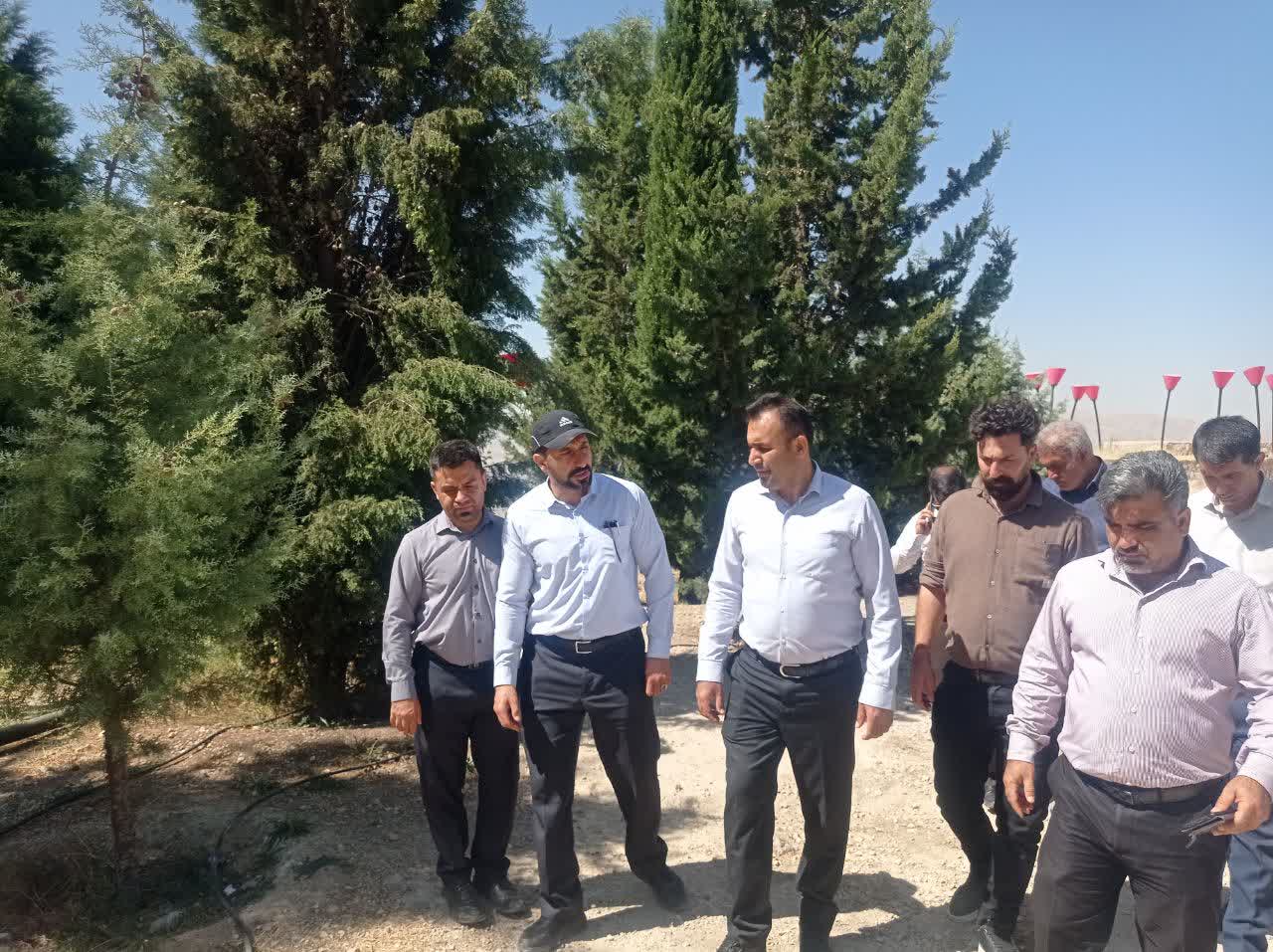 آینده تفریحی شیراز در کوه نور؛ زیرساخت‌ها برای سرمایه‌گذاری آماده می‌شوند
